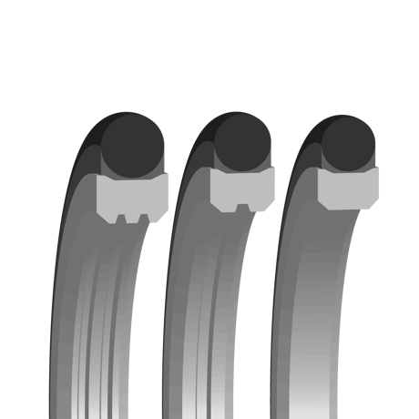 R310
